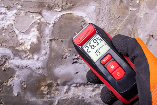 Best Basement Mold Remediation in Arcola, IL