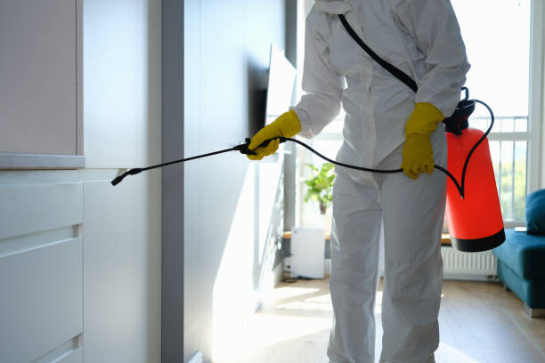 Best Health and Safety Mold Remediation in Arcola, IL