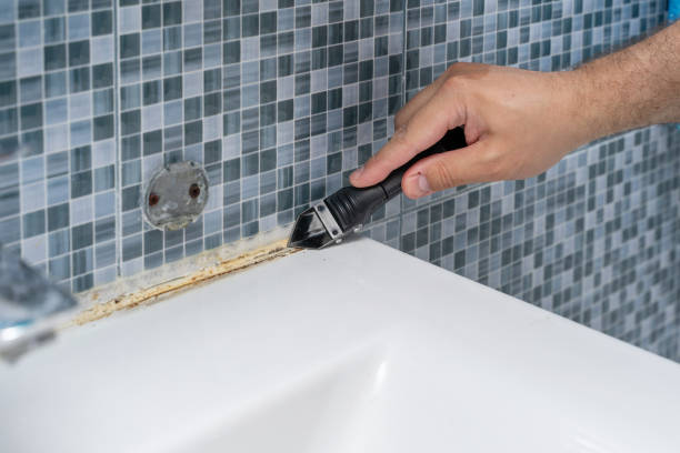 Professional Mold Remediation in Arcola, IL